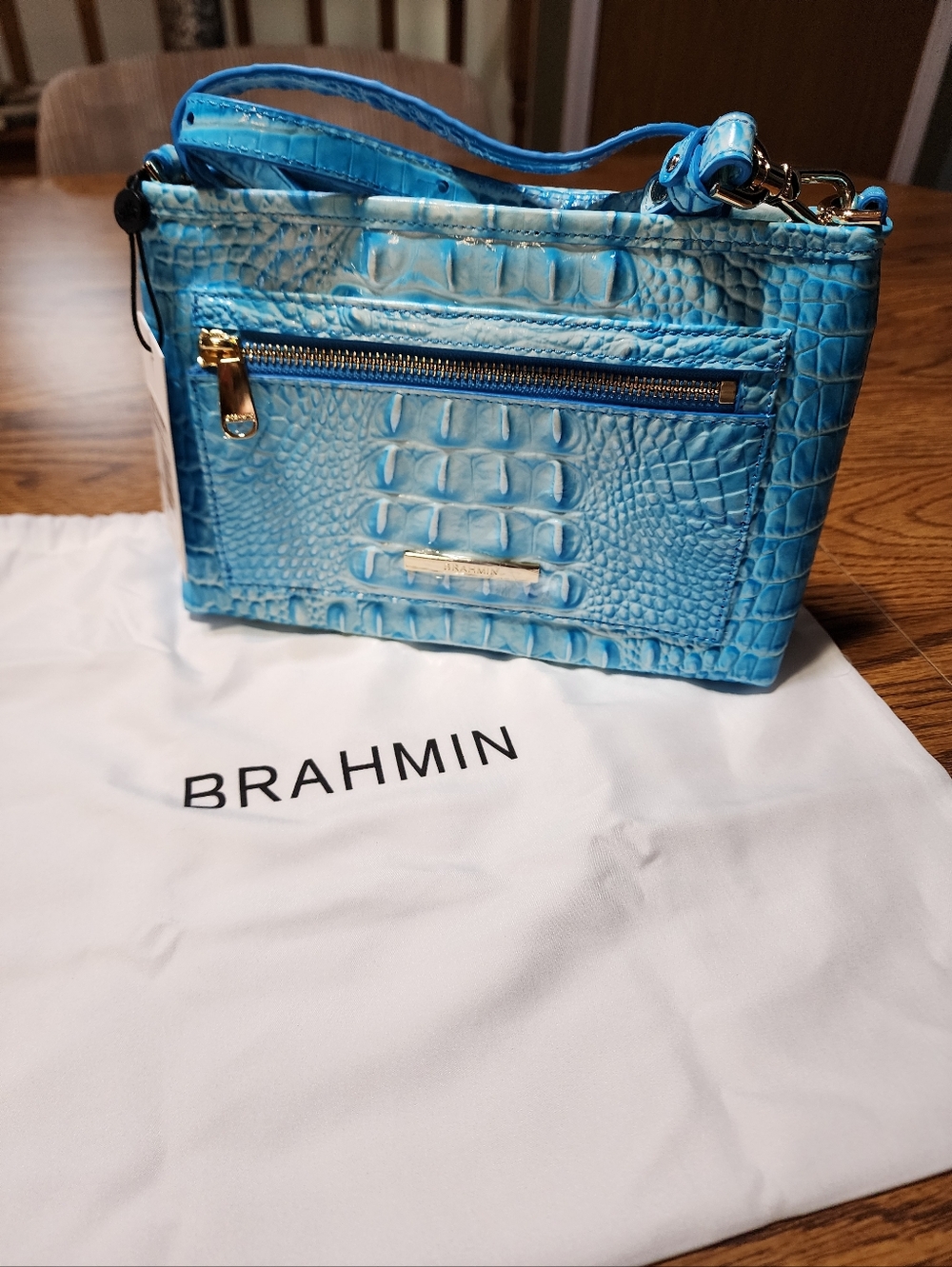 NWT Brahmin Vida Sky Melbourne Crossbody